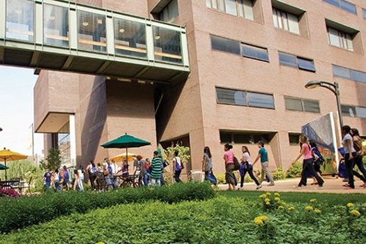 Long Island University
長島大學